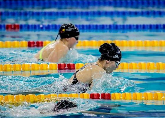 Академический Чемпионат Польши по плаванию 2016 Академический Чемпионат Польши по плаванию 2016, Анджей Вашкевич, плавание, swimming