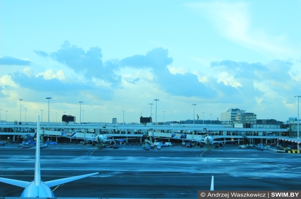 Andrzej Waszkewicz | KLM - Королевские Голландские Авиалинии Авиакомпания KLM, Амстердам аэропорт Схипхол, блог Swim.by