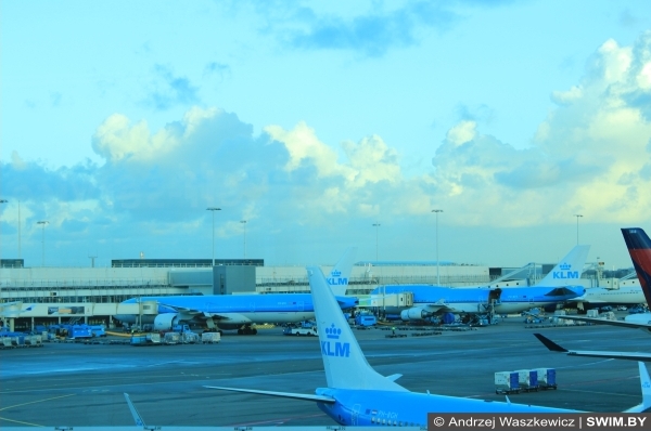 Andrzej Waszkewicz | KLM - Королевские Голландские Авиалинии Голландские Авиалинии KLM, Амстердам аэропорт Схипхол, блог Swim.by