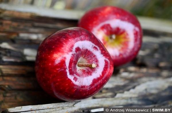 Andrzej Waszkewicz | Яблоки Яблоки, apples, вред яблок