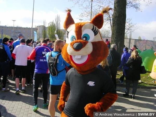 DOZ Marathon Lodz 2017 Бег 10 км, марафон в Лодзи 2017, Marathon Lodz 2017