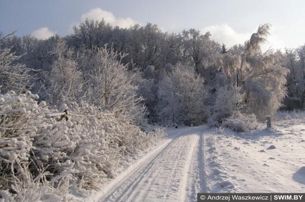 Бег зимой, пробежки, running, Анджей Вашкевич