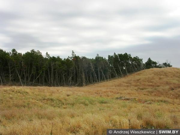 Andrzej Waszkewicz | The Baltic cycling tour Curonian Spit, Baltic cycling tour