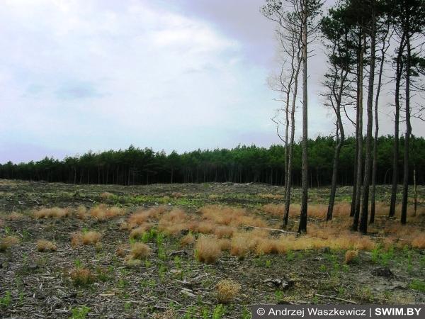 Andrzej Waszkewicz | The Baltic cycling tour Curonian Spit, Baltic Tour