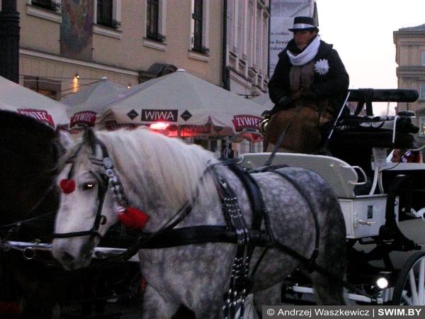 Andrzej Waszkewicz | Краков, Польша Краков, Королевский дворец