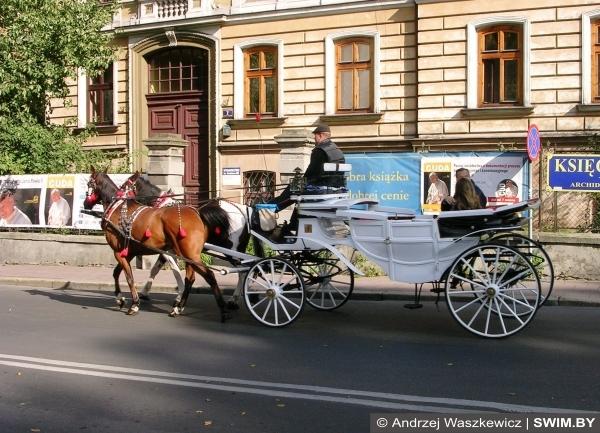 Andrzej Waszkewicz | Краков Краков, королевский город