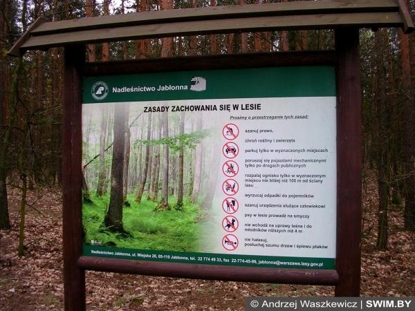 Legionowo Trail Running Legionowo Trail Running, трейл, беговой кросс, Swim.by