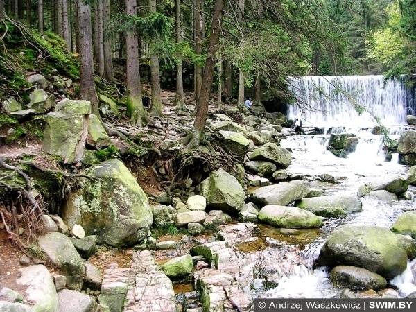 Лес, пейзаж, водопады