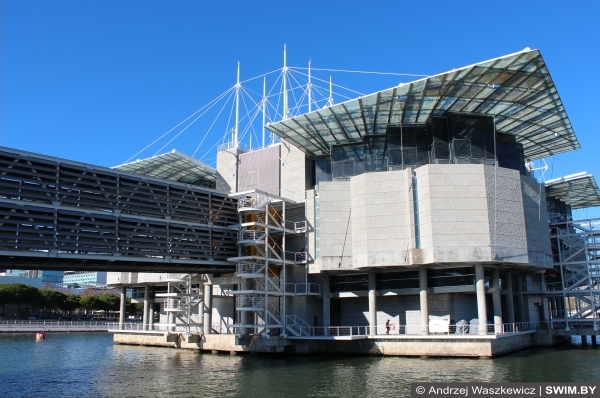 Andrzej Waszkewicz | Океанариум в Лиссабоне Lisbon Oceanarium, Лиссабонский океанариум
