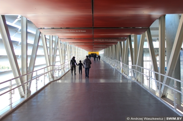 Andrzej Waszkewicz | Океанариум в Лиссабоне Lisbon Oceanarium, Океанариум в Лиссабоне