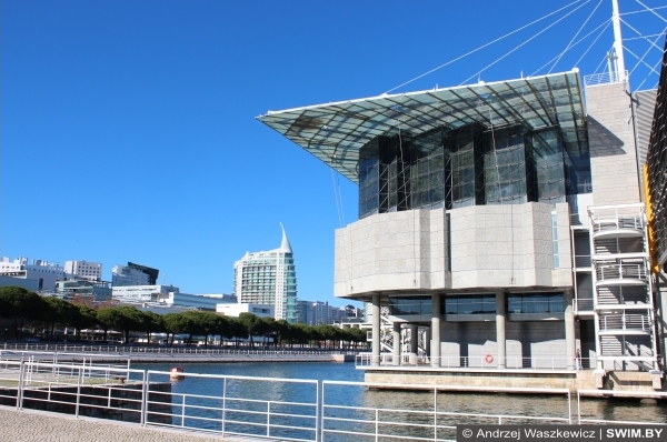 Andrzej Waszkewicz | Океанариум в Лиссабоне Lisbon Oceanarium, Лиссабонский океанариум