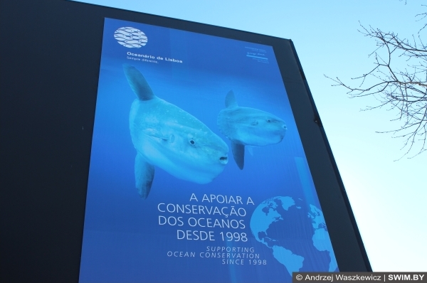Andrzej Waszkewicz | Океанариум в Лиссабоне Oceanário de Lisboa, Portugal