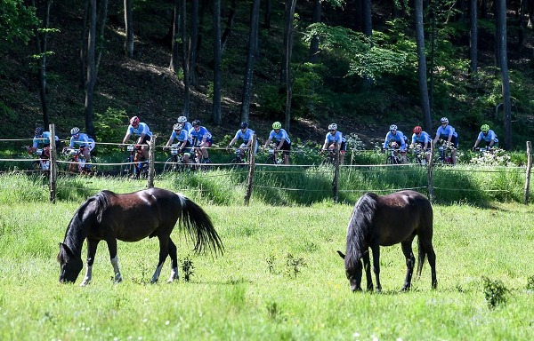 Photos Gran Fondo Gdynia 2019, Cycling Race Gdynia, Gran Fondo Gdynia 2019 Pictures, www.swim.by, Gran Fondo Gdynia 2019 Fotos, Gran Fondo Gdynia Zdjęcia, Swim.by