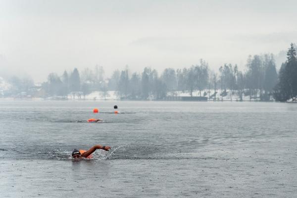 Winter Swimming World Cup Bled Slovenia 2019 Winter Swimming World Cup Bled Slovenia 2019, Photos Winter Swimming World Cup Slovenia, www.swim.by, Winter Swimming World Cup Bled 2019, Winter Swimming World Cup Bled Pictures, Swim.by