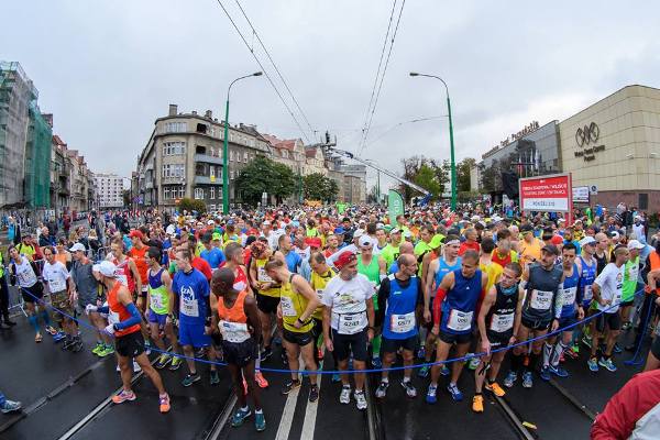 Марафон в Познани 2016 Марафон в Познани, Poznań Maraton, Swim.by