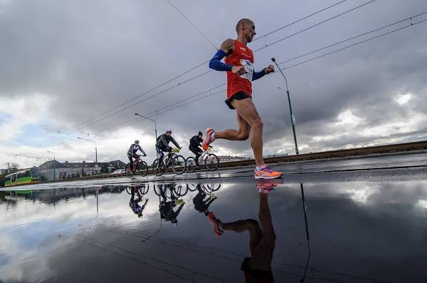 Марафон в Познани 2016 Марафон в Познани, Poznan Marathon