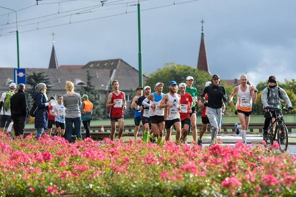 Марафон в Познани 2016 Марафон в Познани, Poznan Marathon