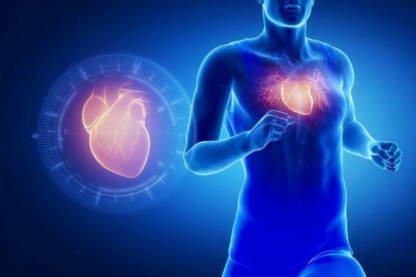 Here's How Running Affects Your Heart Running, Heart, Training, Health, www.swim.by, Running Training, Health Heart, Heart Training, Swim.by