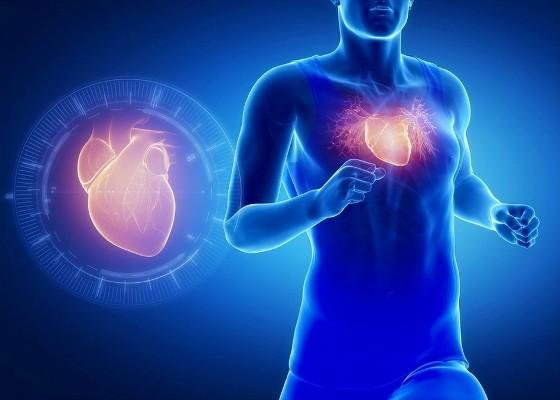 Here's How Running Affects Your Heart Here's How Running Affects Your Heart