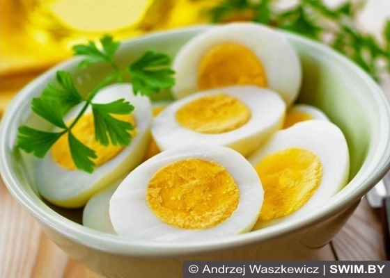 Куриные яйца Спортивная диета, куриные яйца