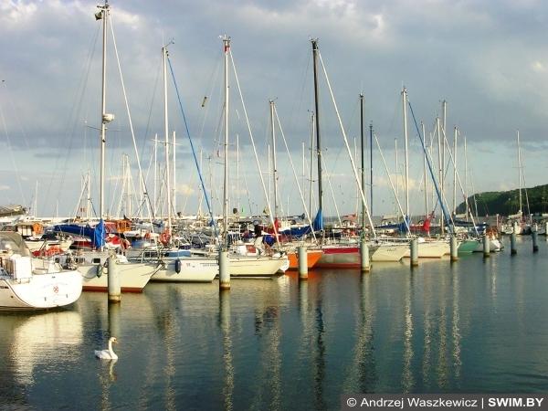 Sprint Triathlon Gdynia 2017 Sprint Triathlon Gdynia 2017, спринт триатлон Гдыня, EMG Sport Management
