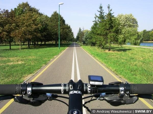 Track, road cycling