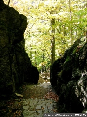 Andrzej Waszkewicz | Замок Хойник, Польша Travel Mountain Poland