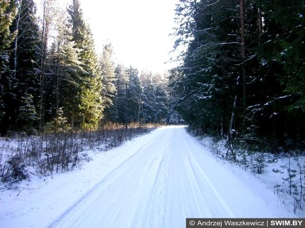Andrzej Waszkewicz | Snow Trekking Трек, маршруты, зимний лес