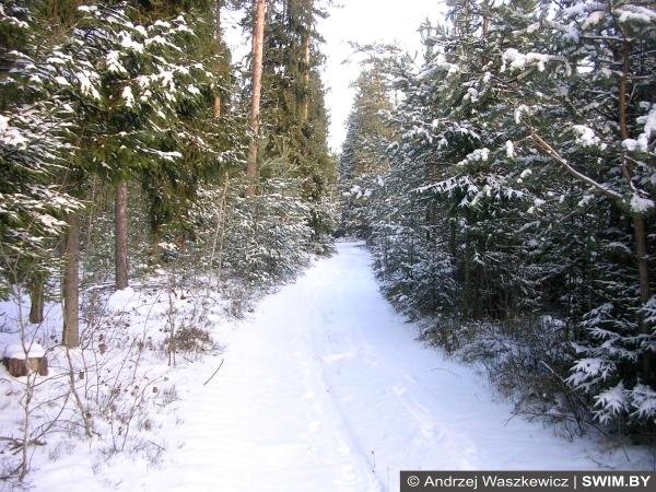 Andrzej Waszkewicz | Snow Trekking Тропа здоровья, зима