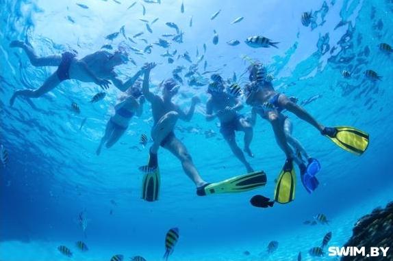 Swim.by | Дыхательная трубка для плавания Mad Wave Pro Snorkel Дыхательная трубка для плавания Mad Wave Pro Snorkel, трубка для снорклинга, трубка для ныряния, трубка для моря, Swim.by