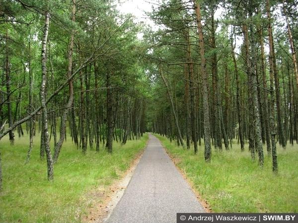 Andrzej Waszkewicz | The Baltic cycling tour Велосипедный трек, Балтийский велотур