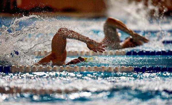 Warsaw Masters Team, Masters Swimming Club, Poland