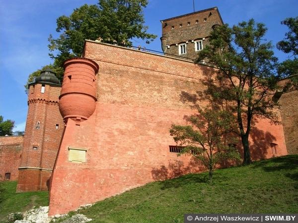 Andrzej Waszkewicz | Краков, Польша Вавельский замок, Краков