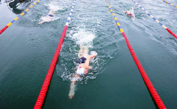 Winter Swimming World Cup 2019, Winter Swimming Championships, Winter Swimming Cup, www.swim.by, Winter Swimming World Cup Bled Slovenia, Bled Slovenia, Winter Swimming Bled, Winter Swimming Slovenia, Swim.by