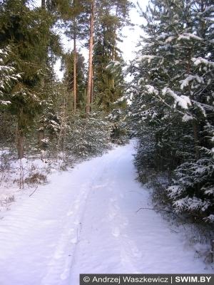 Andrzej Waszkewicz | Snow Trekking Зимний треккинг, поход