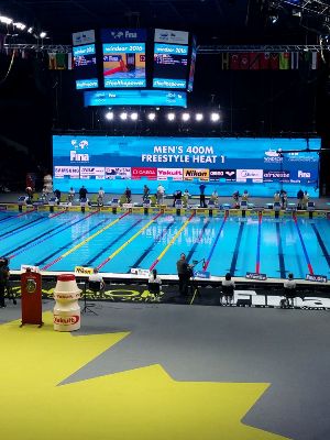 Swim.by | Чемпионат мира по плаванию на короткой воде 2016 Чемпионат мира по плаванию на короткой воде 2016, Виндзор-2016, Канада, A.W. Sports Agency